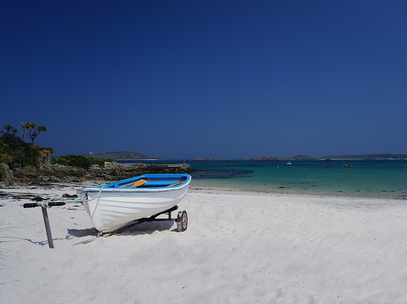 Selected course image