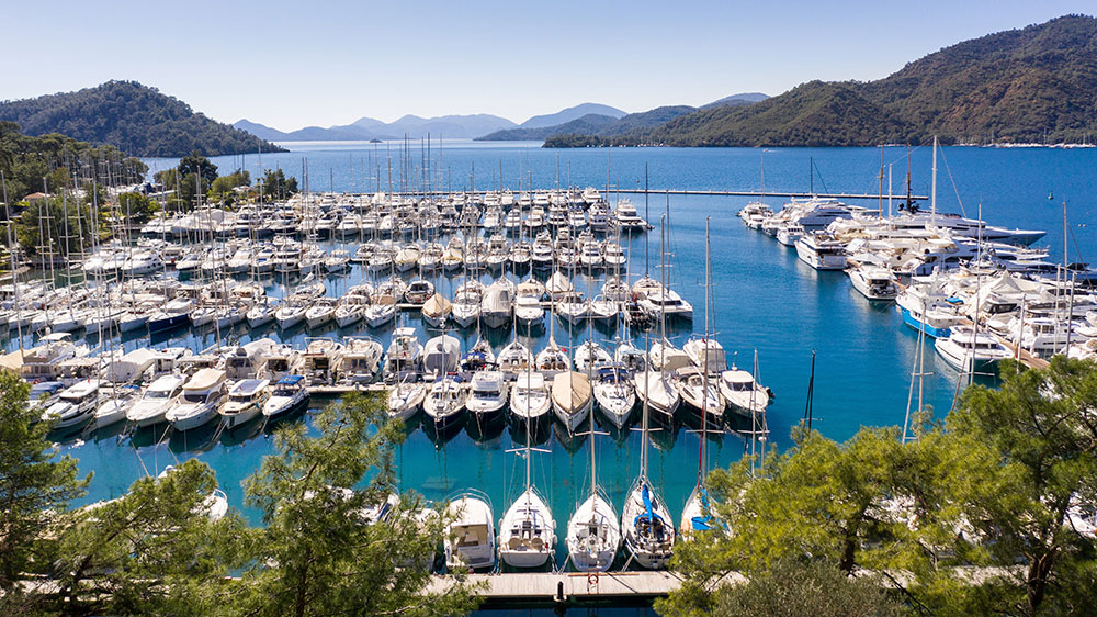 Selected course image